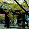 　秋月　黒門　Ⅱ