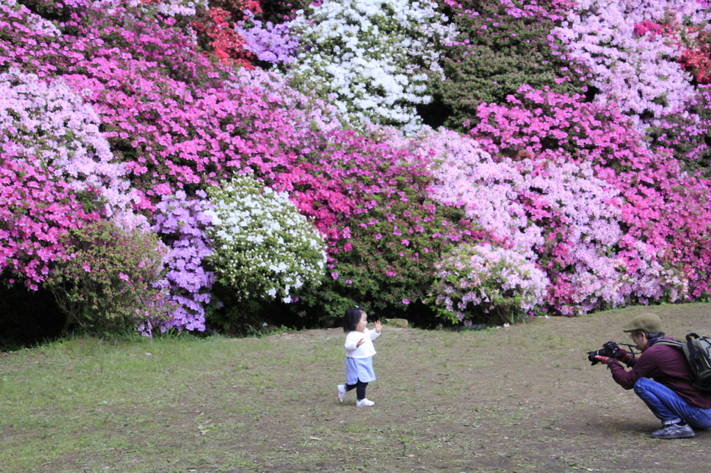 _MG_1209　おいで　おいで