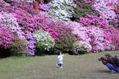 _MG_1209　おいで　おいで