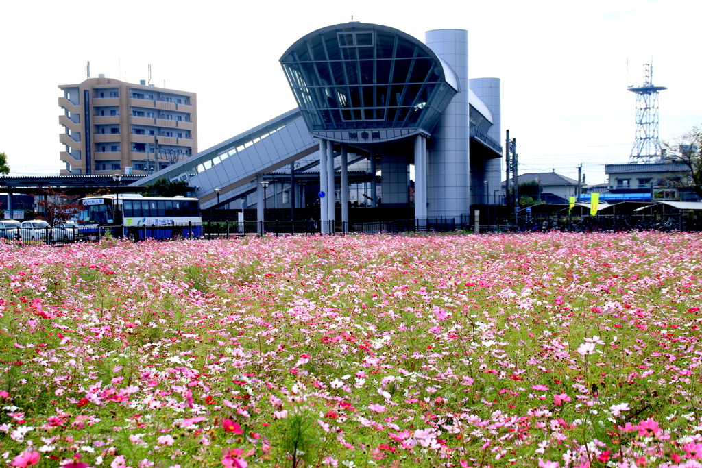  ＪＲ神埼駅北　Ⅳ