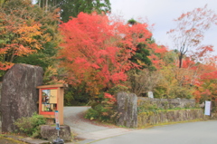 岳間紅葉