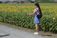 　撮り棒のひまわり娘　３