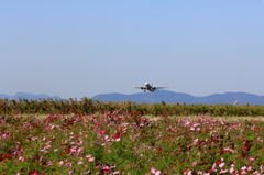 佐賀空港ｺｽﾓｽ園