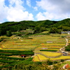 　天空の里　鹿里の棚田（ろくりの棚田）Ⅰ