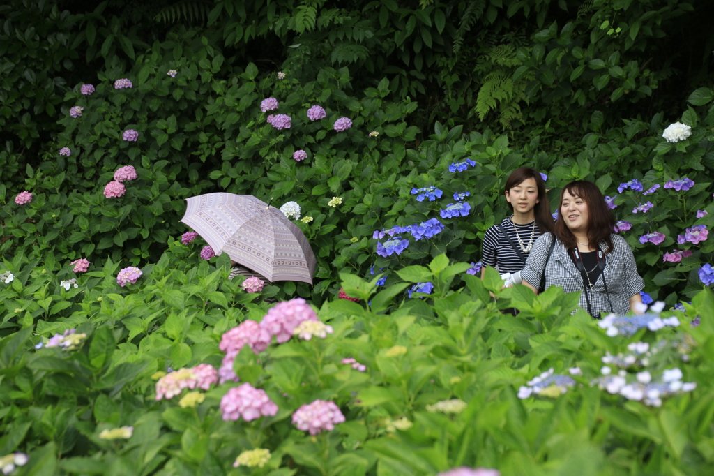 　写ｶﾞｰﾙ　３