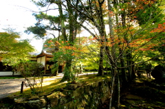 本坊庭薗　２