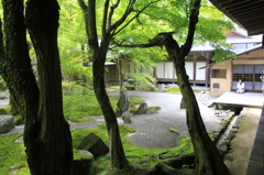 _MG_1134庭園を見つめて