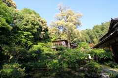 日輪寺