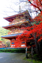 清水寺三重の塔