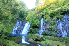  白水の滝