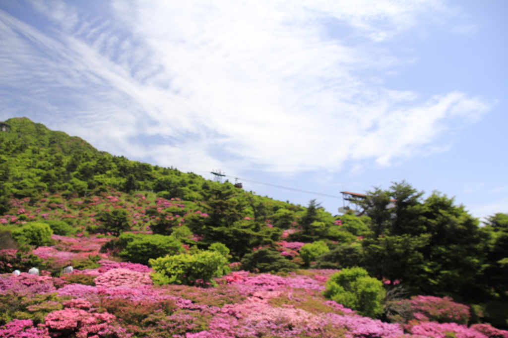 _MG_0367　仁田峠　Ⅲ