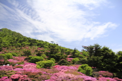_MG_0367　仁田峠　Ⅲ