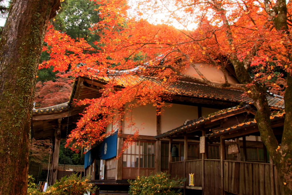 永勝寺本堂