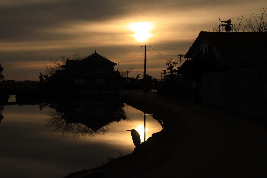 縫の池　Ⅲ