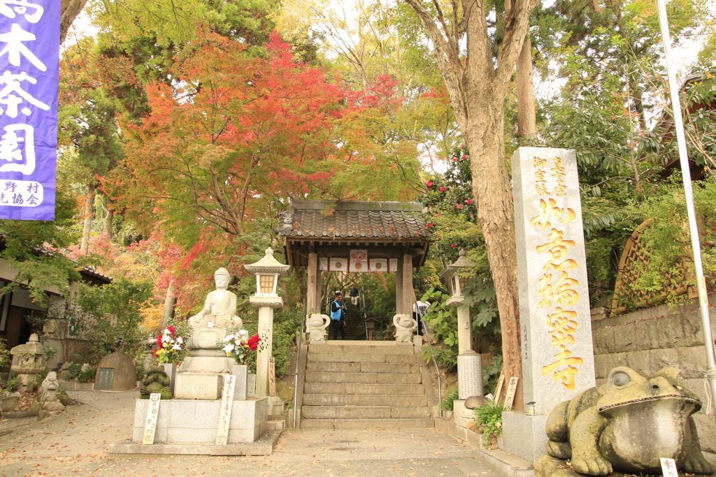 小郡 如意輪寺（かえる寺）１