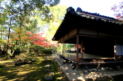 河北家新座敷と庭園