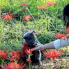  ごほうび