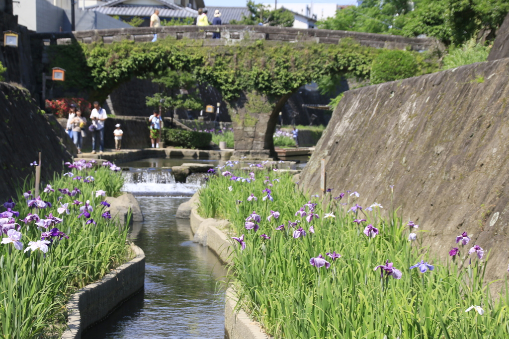 　高瀬眼鏡橋