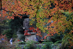 山中渓谷