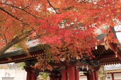 祐徳稲荷神社　５