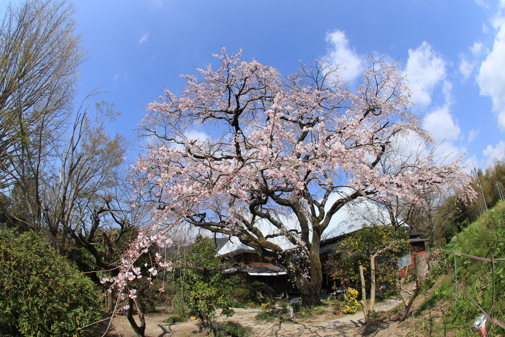 宝珠寺　２　