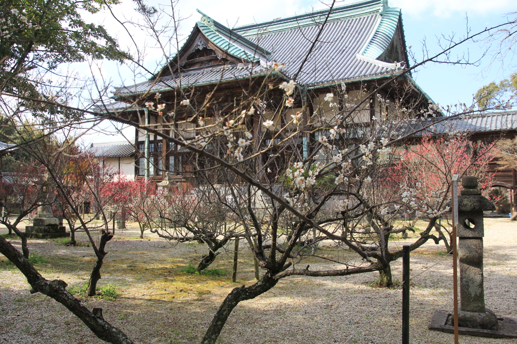　高伝寺