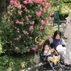 _MG_0203　ﾊｲﾎﾟｰｽﾞ