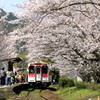 　さくらの駅　レッド　２