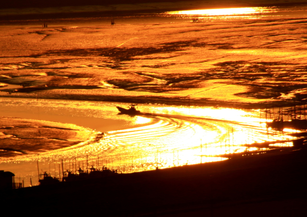 　出船　有明海へ