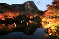 紅葉ﾗｲﾄｱｯﾌﾟ