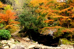 IMG_0682　山中渓谷