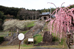 　陽興寺