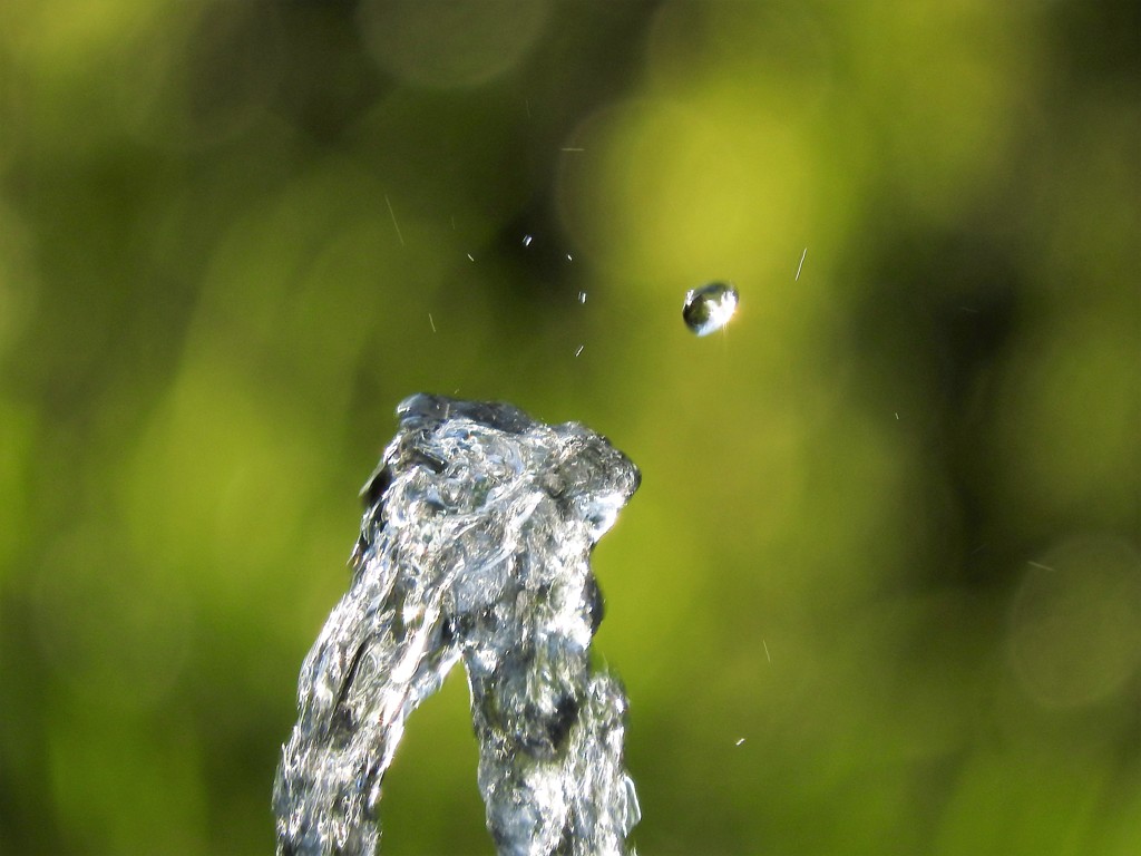 水踊る