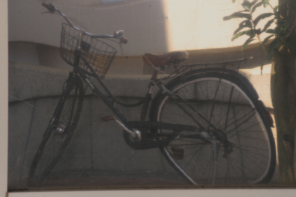 額縁の中の自転車