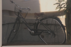 額縁の中の自転車
