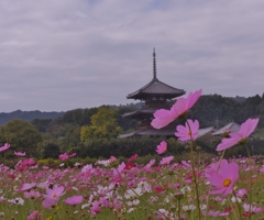 古寺の塔と秋の花