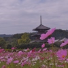古寺の塔と秋の花