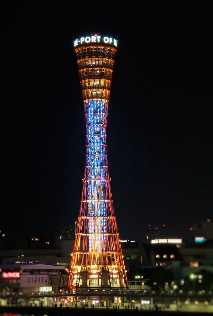 港の夜