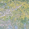 サンシュユwith桜
