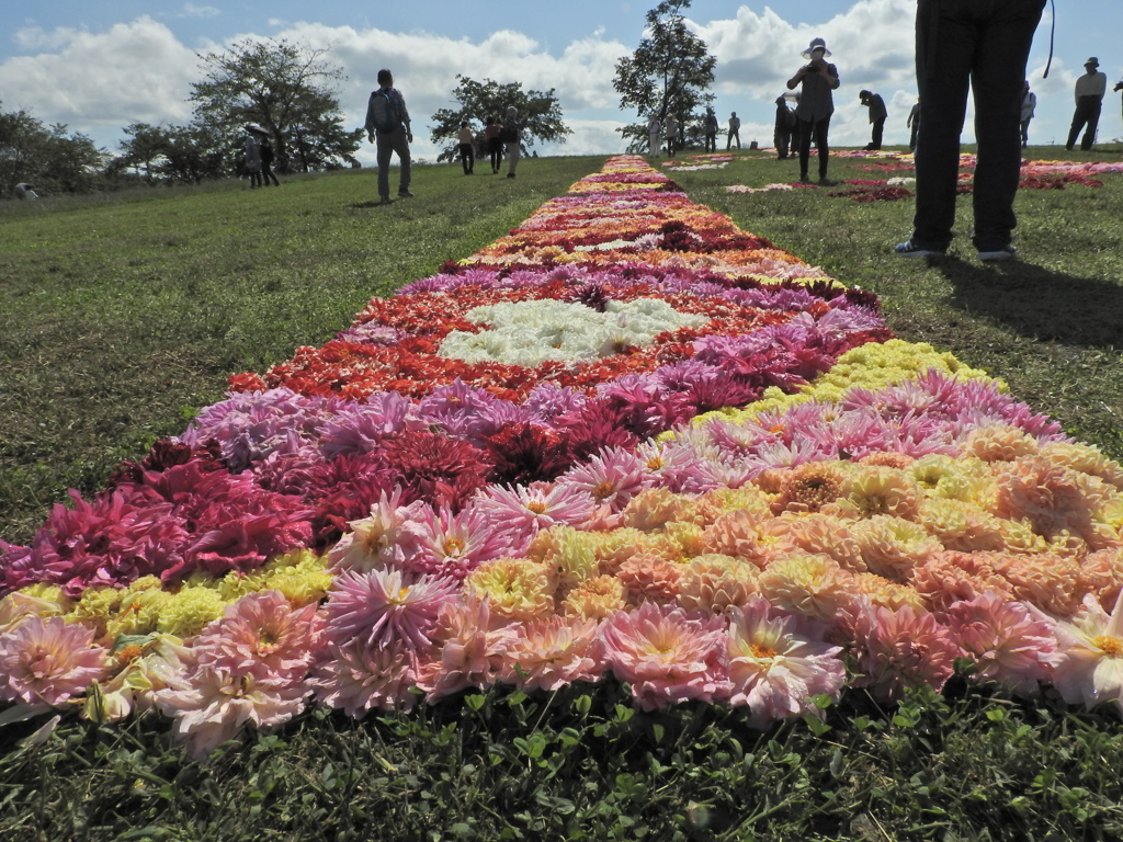 花絨毯