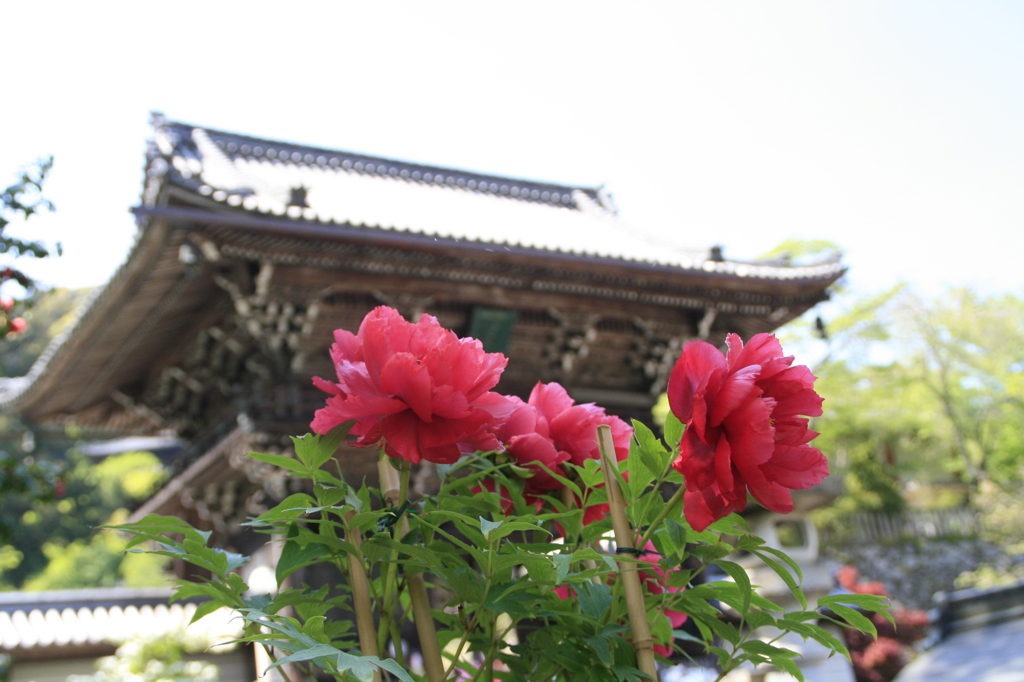 長谷寺門前