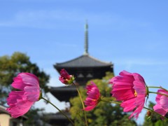 風に吹かれて