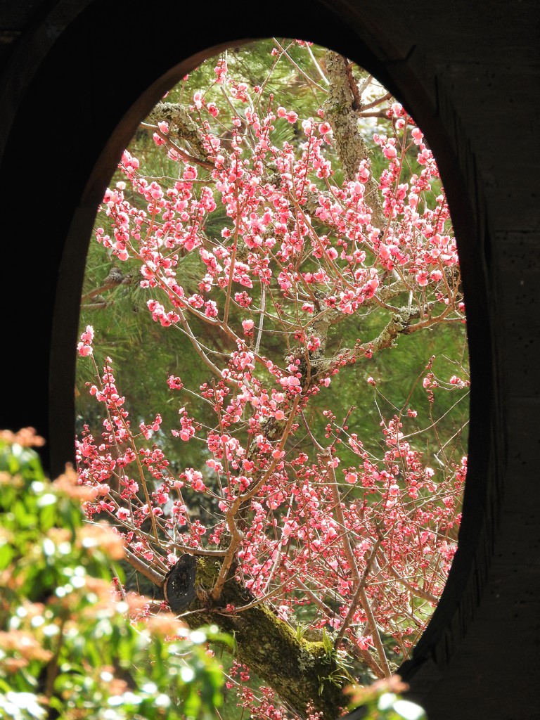 円窓亭の春