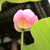 そこにいる