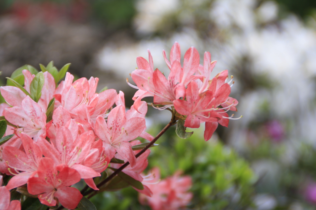 主役ではないけれど