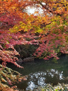 紅く染まる