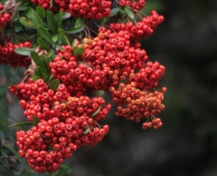 いっぱいだね～