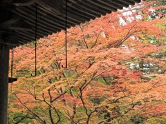 霜月の風景