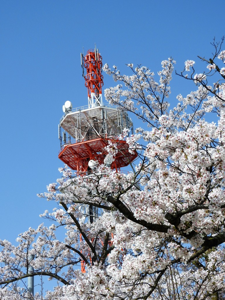 高田タワ～