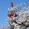 高田タワ～